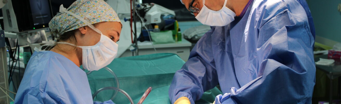 Journée Mondiale de la santé bucco-dentaire !