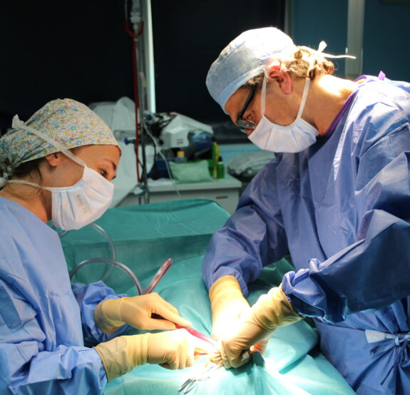 Journée Mondiale de la santé bucco-dentaire !